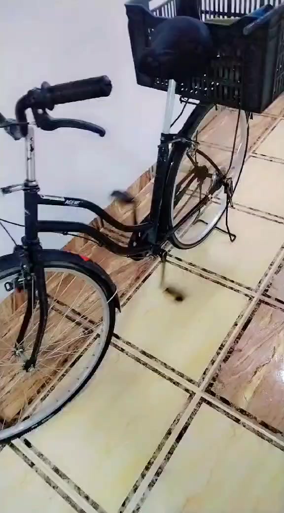 للبيع 50


**إذا كنت صاحب هذا الإعلان وتريد حذفه لأي سبب، رجاءا أرسل رسالة إلى الدعم الفني**