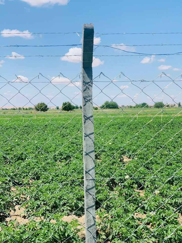 تم الأنجاز بدقة متناهية
وبسعر مناسب جداً فقط ٧ الاف دينار وبضمان عشر سنوات
هذا العرض لفترة محدودة سارع بالحجز لا تفوت الفرصة
🚨📢 أقوى التخفيضات من شركتنا 📢🚨
🚧 🚨📢 أقوى التخفيضات من شركتنا 📢🚨
🚧 أسيجة BRC ودنك بوري جادر بأسعار جيده 
***********   📲 ***********
🛠️ هل تبحث عن أمان، جودة، وسرعة؟
📍 إحنا الحل! 
نوفّرلك أسيجة BRC بتركيب احترافي وكادر متخصص 👷‍♂️

✨ ليش تختارنا؟
✅ سرعة ودقة بالعمل
🔩 مواد أصلية ومضمونة
🚛 نغطي جميع محافظات العراق
💸 أسعار تنافسية:
تبدا من 5 إلى 9 الاف  دينار/متر (كرستة + عمل) حسب نوع السيم والطلب

🧱 نشتغل بـ الجملة والمفرد ✌️

👤 بإدارة: أبو مصطفى

📞 للتواصل والاستفسار راسلنا من الزر اسفل المنشور او على الارقا
📲 *********** (واتساب)
📲 ***********  (واتساب)
📲 *********** (واتساب)
📲 ***********

📩 لا تفوّت الفرصة! راسلنا الآن عبر الزر أسفل المنشور أو اتصل على الأرقام أعلاه وخلّي سياج بيتك أو مشروعك بأمان وجمالية! 🏡
