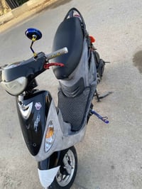 ماكس منغولي • ناصريه • كامله