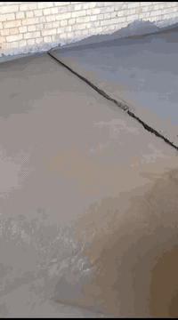 ‏‪***********‬‏
