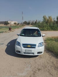 افيو • ٢٠١٥ • النجف