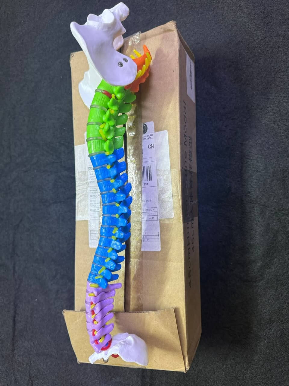 بضاعة أصلية + أسعار نار 😏
بضاعة DHL 📦

❌ الكمية قليلة
💥 الفرصة ما تتكرر


**إذا كنت صاحب هذا الإعلان وتريد حذفه لأي سبب، رجاءا أرسل رسالة إلى الدعم الفني**