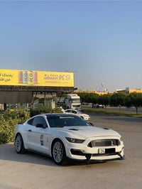 موستانغ • ايكو بوست • فول اوبشن