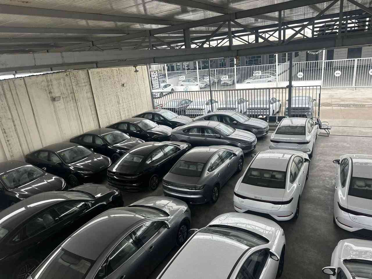 الاسعار جوه السووك 🔥
الديستروير 
الكن بلاص
سيل 5

 ويتوفر جميع انواع سيارات البي واي دي 
من قلب مخازن وساحات السيارات في اليوسفية 
للبيع المفرد والجملة

🥇مجمع معارض مدخل بغداد للسيارات
الاسعار اتصل وتدلل انسب الاسعار 

🔴بي واي دي دسترويرBYD موديل 2025 نار 🔥 
🔴بي واي دي كن بلاص BYD موديل 2025 🔥 
🔴بي واي دي سيل BYD موديل 2025 🔥 

الاسعار جدا مناسبه
        زورونا واهلا وسهلا بكم
يتوفر كافة انواع byd😍

___________________
مواصفات الكورلا 
فول الفول 
كرسي عادي 
شكل الامريكي وشكل خليجي
               
للاستفساراكثر اتصل على الأرقام التالية
🥰🥰🥰🥰☎️☎️☎️☎️

عزالدين الغريري
ادهم الغريري
***********
***********
***********
***********
📍الموقع بغداد اليوسفية قرب سيطرة 75
( مجمع معارض مدخل بغداد للسيارات)
(((معارض اليوسفية))) maps/waze 📍#BYD #bydبغداد #العراقيين
#BYDIraq
#يخيي
#متابعة
#BYD#. #بغداد
