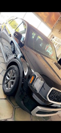 تولورايد • ٢٠٢٣ • بدون صبغ