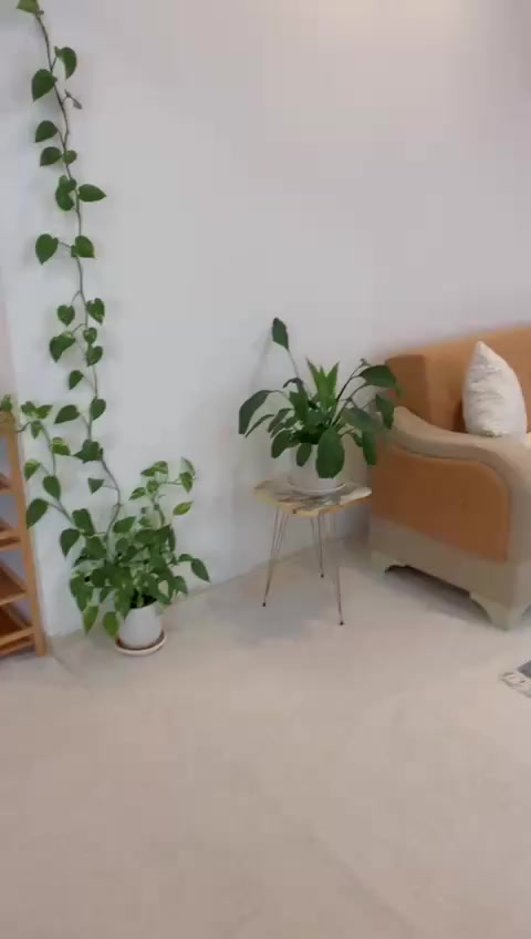 تخم نضيف وسبلت ومايكرو للبيع غراض بيتي كل عيب مابيهن بس اريد انتقل وابيعهم


**إذا كنت صاحب هذا الإعلان وتريد حذفه لأي سبب، رجاءا أرسل رسالة إلى الدعم الفني**