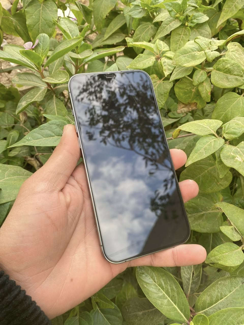 آيفون 12 برو ماكس ذاكره 256 بطاريه 70 وتر بروف مامفتوح نموذج mنضافه 100‎%‎ ملحقات كامله سعر 425 المكان النحف الكوفه ***********
