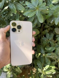 آيفون ١٣ برو ماكس • ذهبي • بطارية ٨٥%