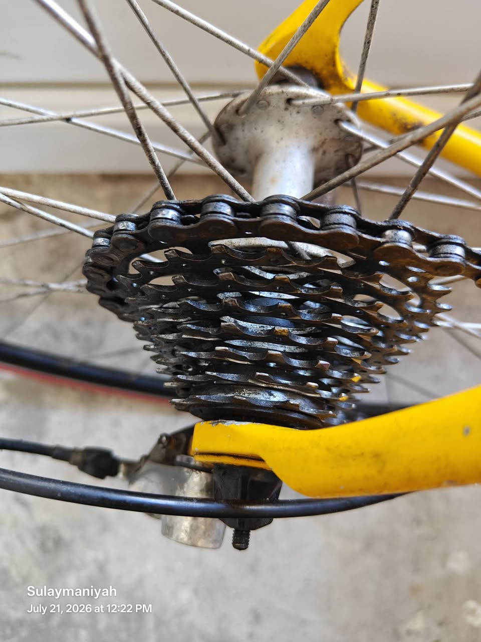سڵاو پاسکیل بۆ فرۆشتن
مۆدێل و بڕاند: Parkpre Alumax
ئەوروپی

جۆری پايسکيل: ڕێگا  (Road Bike)

📌 تایبەتمەندییەکان:

چوارچێوە (Frame): ئەلەمنیۆمی سووک و بەهێز (Alumax)

دیزاین و ڕەنگ: ڕەنگی زەرد و ڕەش

ویل و تایەکان: ویلی سپۆرت بە تایەی ڕەنگ سوور ، ٤ مانگە تایەی بۆ گۆڕڕاوە بە مارکەی کیندا.

قیاسی:٢٨

گێڕ:٨×٢

ئێکسسوارات و زیادکراوەکان:

دوو شوێنی مەترەی ئاو (Water bottle cages)

کەیف / جزدانی ژێر کورسی بۆ هەڵگرتنی کەلوپەل

لایت / ڕەفلەکتەری سەر سوکان

لێنۆکی سوکانی تایبەت (Handlebar tape) بۆ دەستگرتنی ئاسانتر

⚙️ دۆخی پايسکيلەکە:

ئامادەیە بۆ بەکارهێنان و تەنها تایمێکی گێڕەکانی بدرێت باشترە.

زۆر گونجاوە بۆ وەرزشکردن، ڕاهێنانی ڕۆژانە و بڕینی مەودای دوور.

💵 پێشنیاری نرخ: [٢٢٠ هەزار و معامەلە]

📍 شوێن: سلێمانی 

📞 ژمارەی پەیوەندی: [***********]
