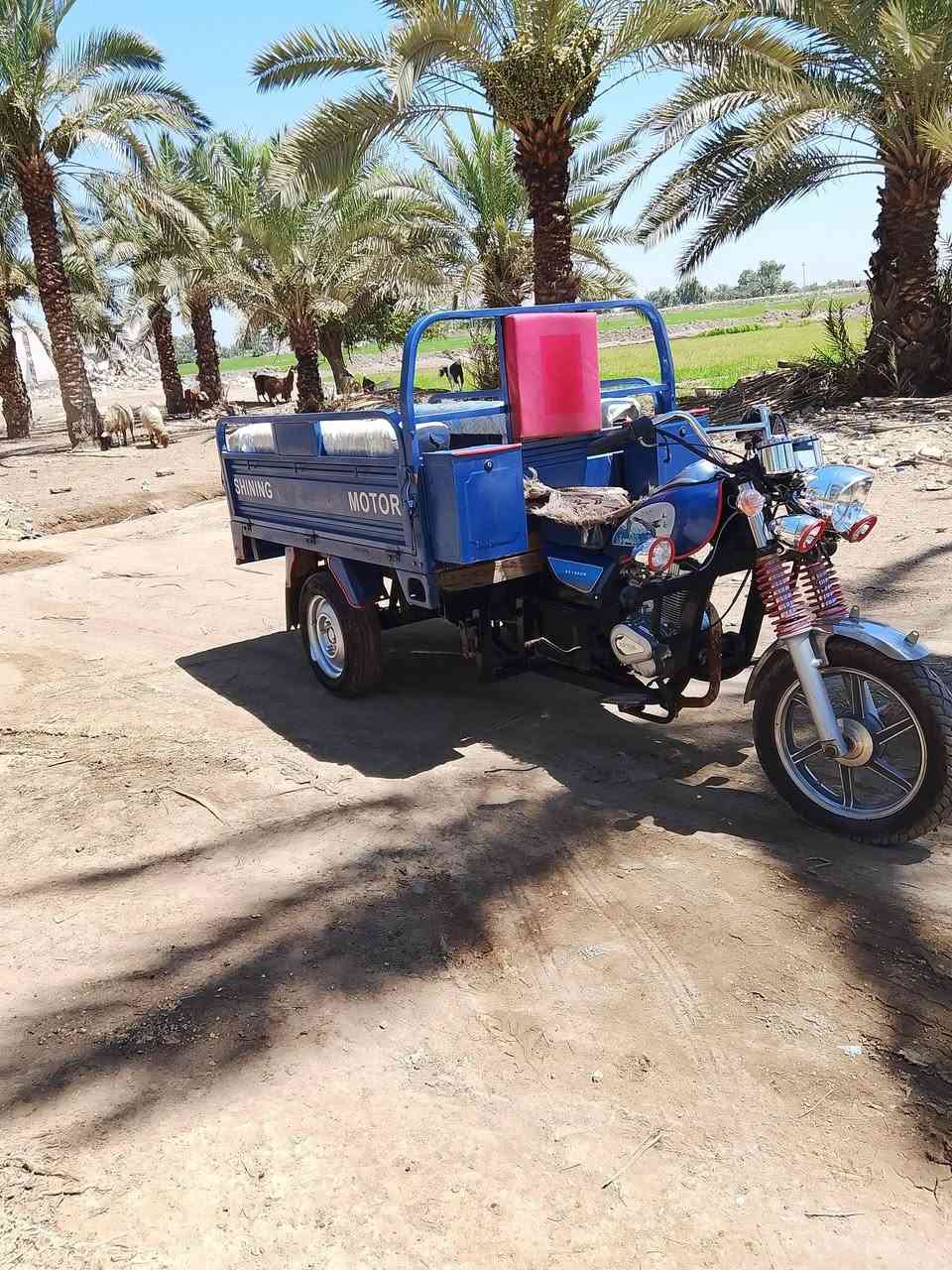 سلام عليكم ستوته البيع جمره فحل موديل 23 مكفوله كفاله عامه رقم نكليزي نجف وسنويه 29 محرك ما مفتوح مكاني نجف أبو صخير مفرق غماس شراي يتصل ويدلل ***********
