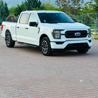 فورد F-150 • ٢٠٢٣ • صبغ كامل