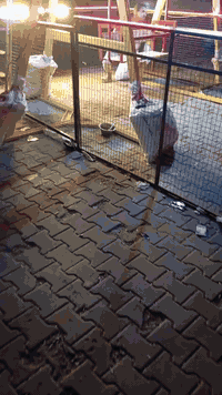 ديلاب البيع مراسل وتساب (07707799249)