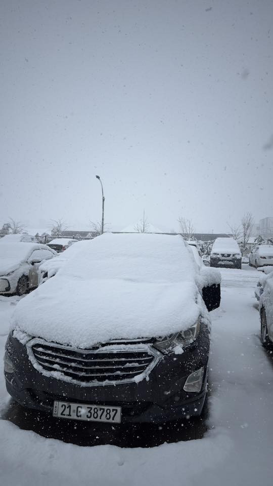 السلام عليكم 
للبيع شوفرليت ايكونيكس ٢٠٢٠ بريمير فول مواصفات المعروفة بس تجي بدون فتحه 
السيارة بيها ٤ قطع صبغ صور الحادث بالمنشور
ماشية ١١٢ الف كم 
گير و مكينه بشرط 
مكانها بالسليمانية رقم شمالي شرط تحويل و غرامة 
حجم المكينه ١٥ تيربو 🚀 
سعر السيارة ١٣٠ و بيها مجال همن 
اراوس حسب القناعة و الاتفاق 
***********
***********
