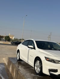 ماليبو • ٢٠١٧ • ذي قار الشطرة