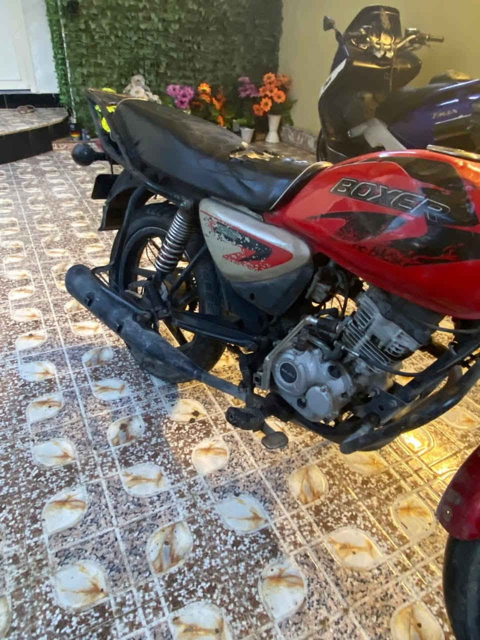 دراجه
بوكسر موديل 2019 أوراق اصوليه كامله نقصها كهربائيات فقط و الباقي كفاله محرك مفتوح مكانها المقدادية شهربان سعرها ٦٠٠ وبي مجال ***********
والي مايعرف سعرهن لاا يضل يكسر ب حلال العالم الدراجه جوه سعرها
