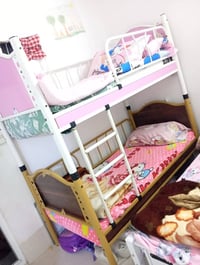 اربيل • طابقين • اسفنجات