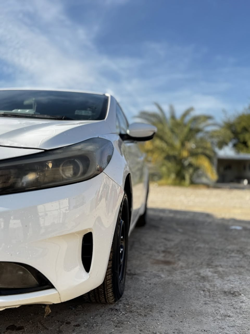 فورتي2018
باسمي حادثها من امريكا بالصور موجود
الابواب الامامية والبنيد طخات صغيره فقط اما الباقي مصبوغ (ابيع حزام)
مكينه 2000 دوش
كير ميكنه تبريد خير من الله 
مكاني بعقوبة تقاطع القدس
السعر 107ومجال بسيط بيها
***********
