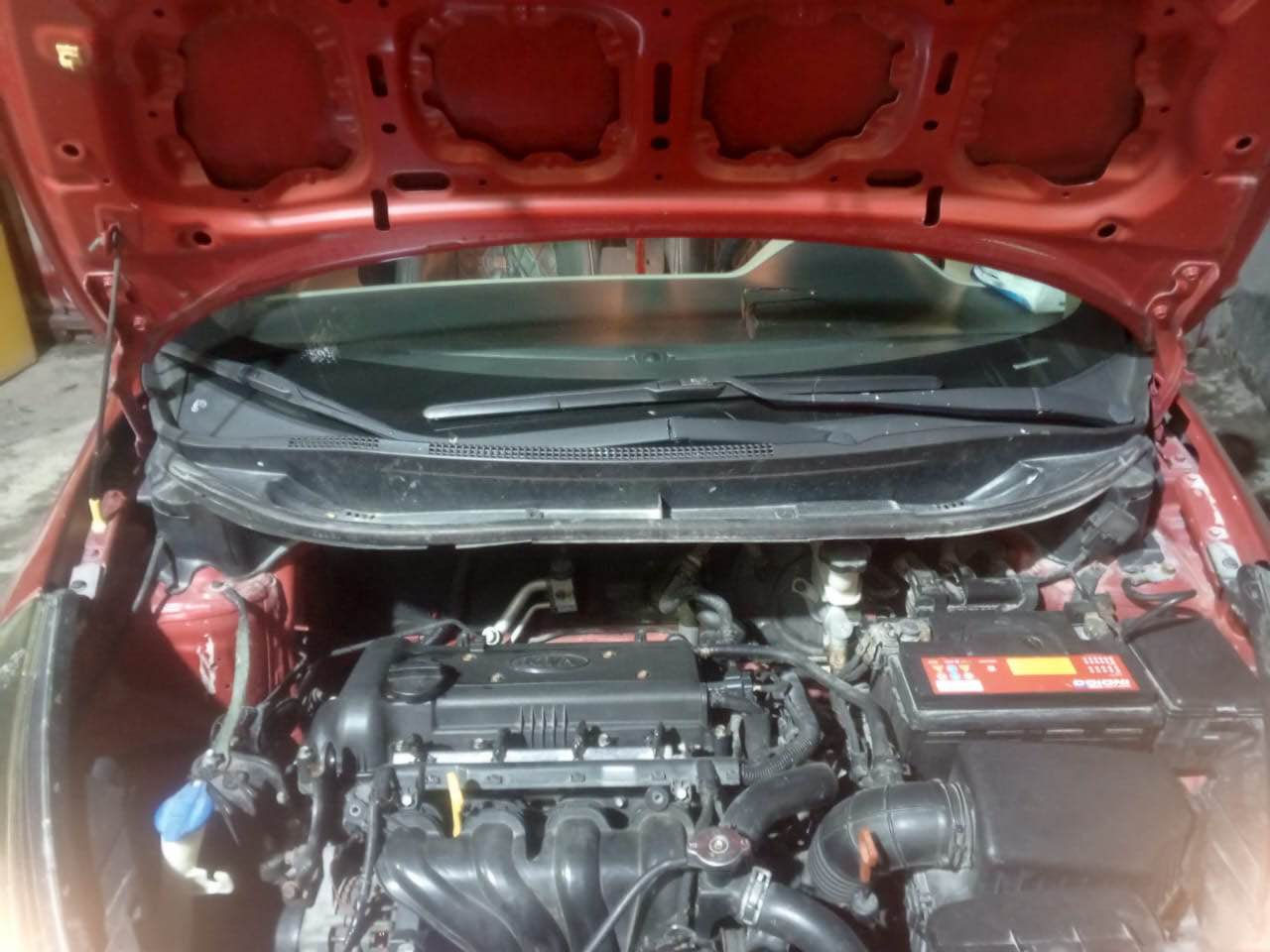 السلام وعليكم كيه ريو للبيع مديل ١٤ خليجي مكينه بادي بيها تبخير مكينه ١٦٠٠ كير كفاله سنويه منتهيه با ١٩ بسم بنيه سياره مال شركه هسا صارت حره والد لبنيه كاعد يركض بالمعامله مالته يعني يكمله يطلب تحويل سعر ٨٠ بيها بارد بالمدكر الخلفي الي وره السايق ماعابر وصبق جماليه بالدوس فقط رقم موبايلي *********** مكاني بصره تنومه البصرة, العراق
