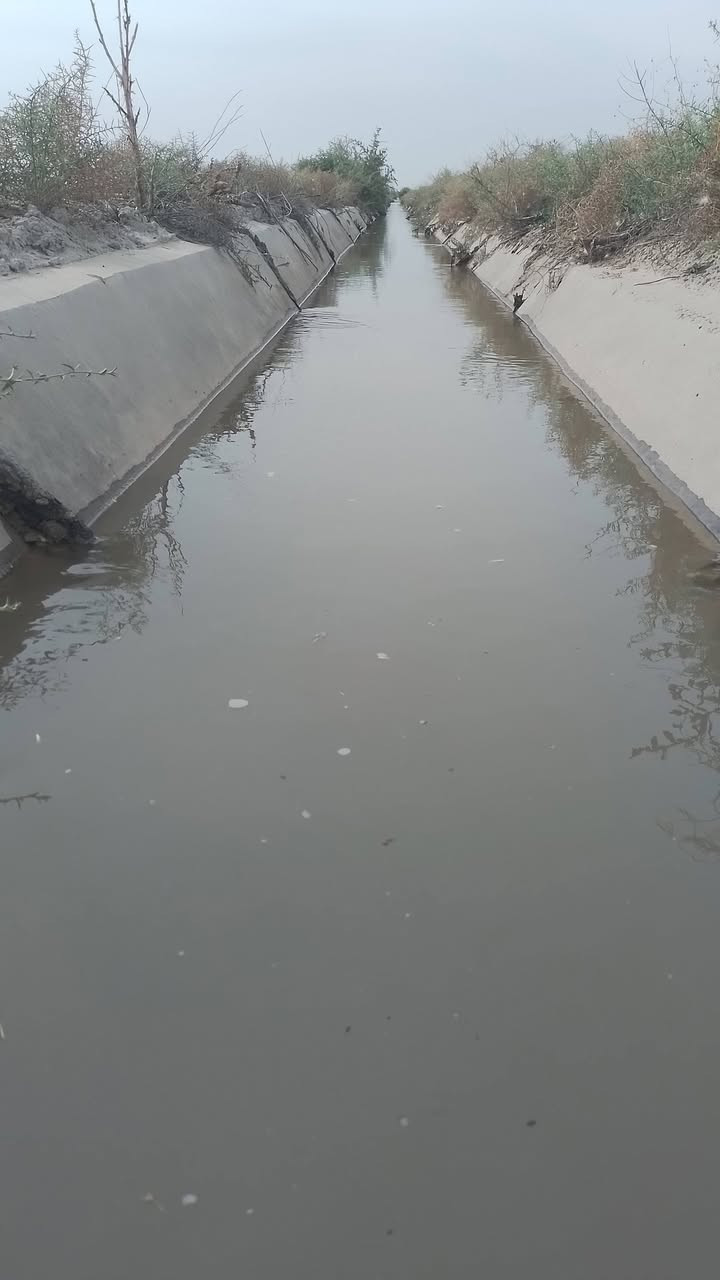 السلام عليكم للأيجار ارض زراعيه خصبه درجه اولى المساحه (٢٢) دونم مستصلحه ماء سقي سيح قنوات معدله ليزر تصفير مكان الأرض واسط قضاء الصويره رقمي (***********)
