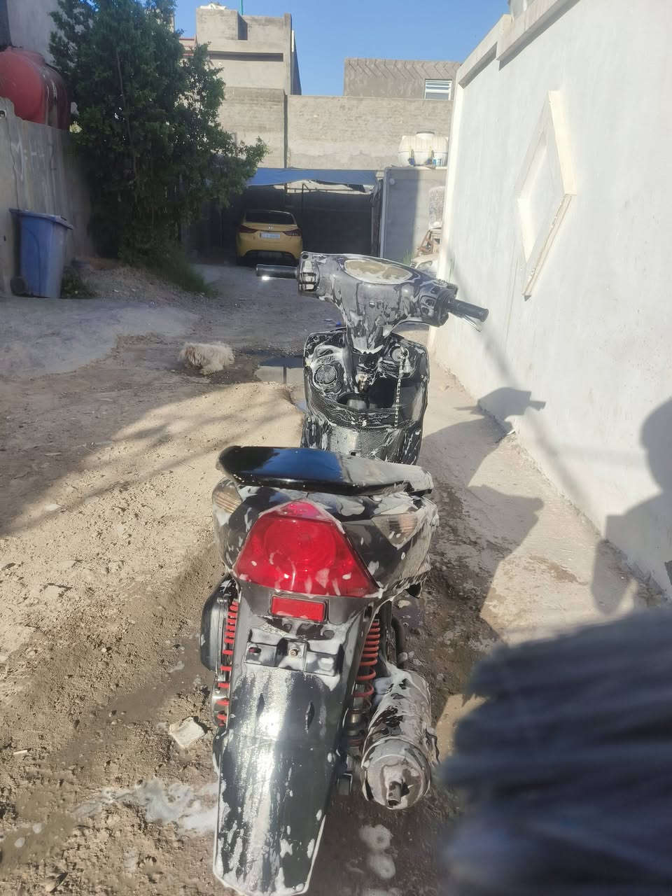 دراجه للبيع بلاديه  مكفوله مكينه  متوازي عل بيعتها السعر 400 وبيها مجال بسيط مكاني بغداد دوره *********** اتصل وسهله
ملاحظه بيها نواقص قليله وترهم مراوس
