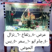 للبيع • الشعب