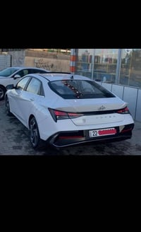 ٢٠٢٤ • مرقمة أربيل • فول مواصفات