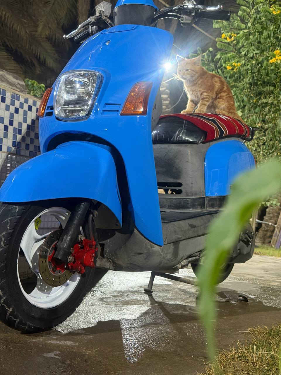 السلام عليكم بوليس للبيع ماكينه بلاديه 49 مكان كربلاء اتواجد على الرقم السعر 850اوبيها مجال مستعجل عليها.  ***********
