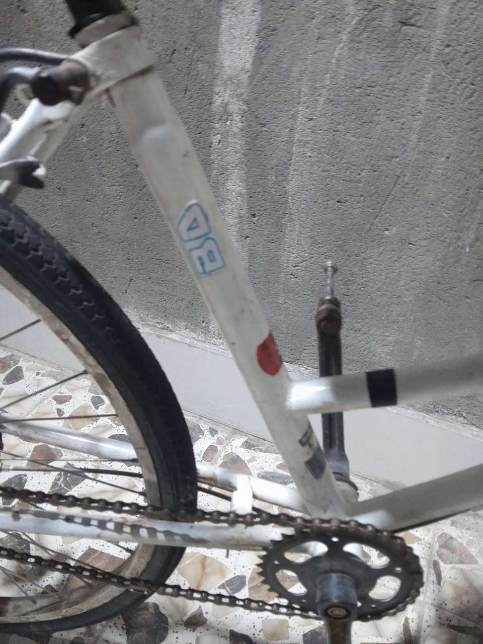 سلام عليكم  بسكل بيع سعر 55 وبي مجل شري يجي خاص


**إذا كنت صاحب هذا الإعلان وتريد حذفه لأي سبب، رجاءا أرسل رسالة إلى الدعم الفني**