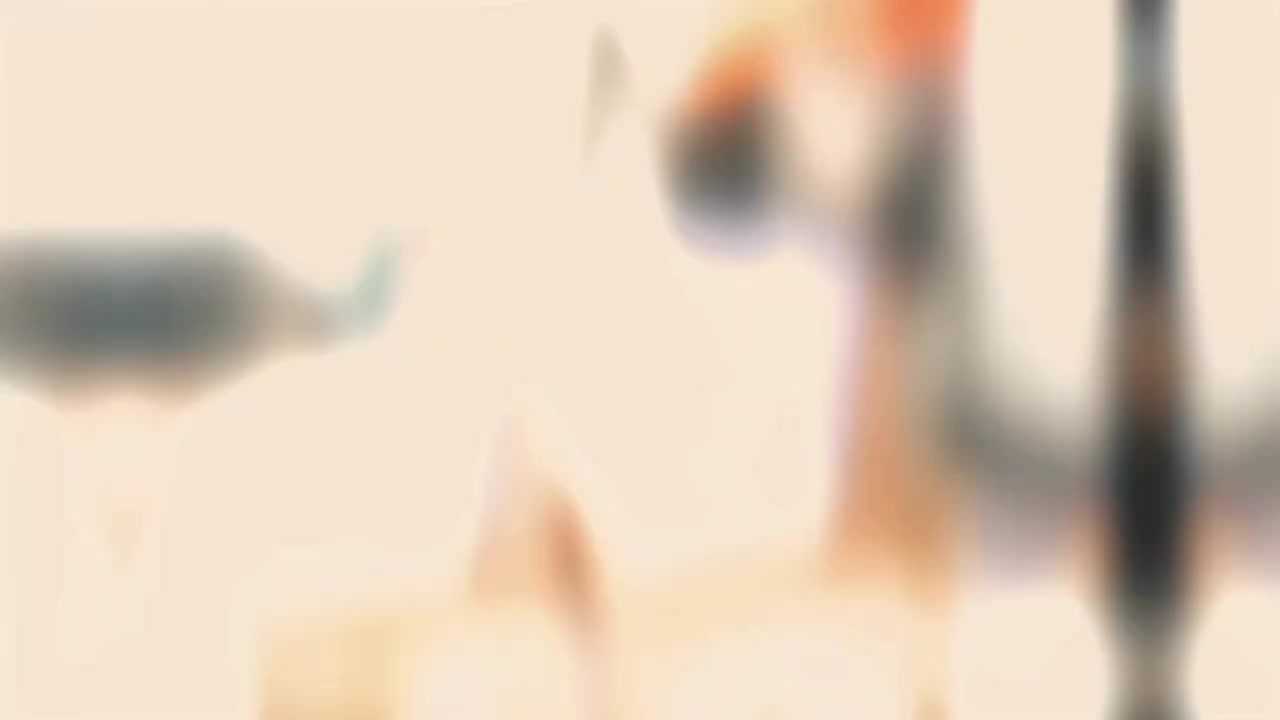 القليل من اعمالنه نعرضه للمشاهدين 😍👌


**إذا كنت صاحب هذا الإعلان وتريد حذفه لأي سبب، رجاءا أرسل رسالة إلى الدعم الفني**