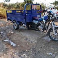 ستوته • سوك الشيوخ الطار • موديل 2023