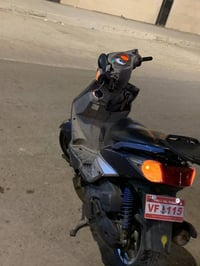 سكنس فحل • ٦ اشهر • مجال قليل