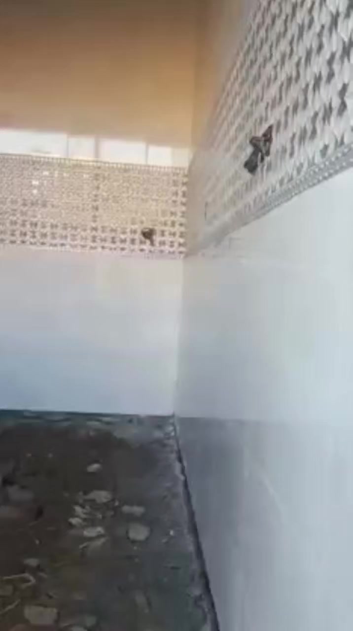 السلام عليكم خلفه سيراميك كاشي ومرمر وبورسلين درجة اولى مصرى والتزام وودقه بالعمل وهدا رقمى ***********/***********
