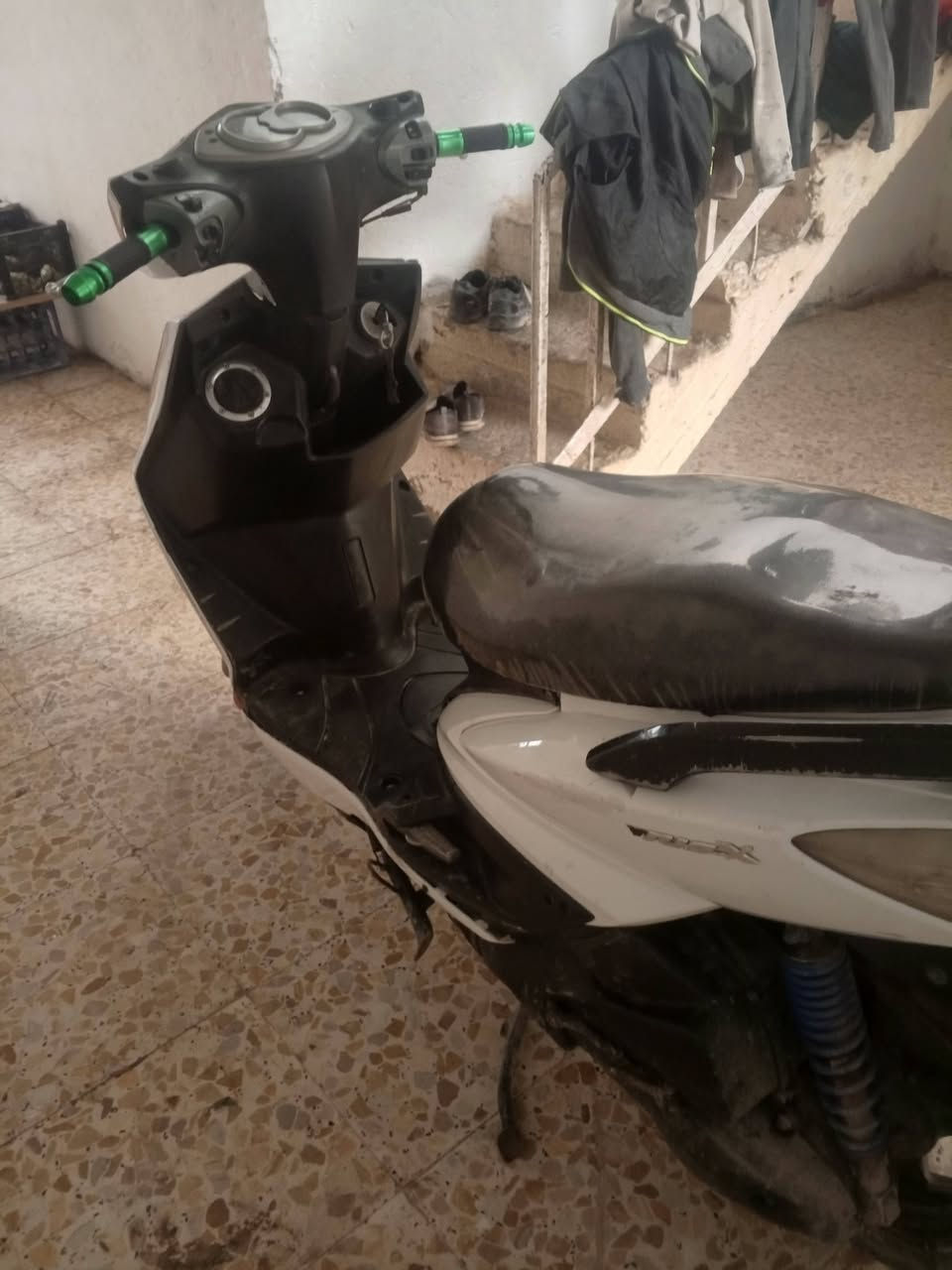 سلام عليكم سكنس فحل للبيع سعر 550بيه مجال 📞🫵 ***********
