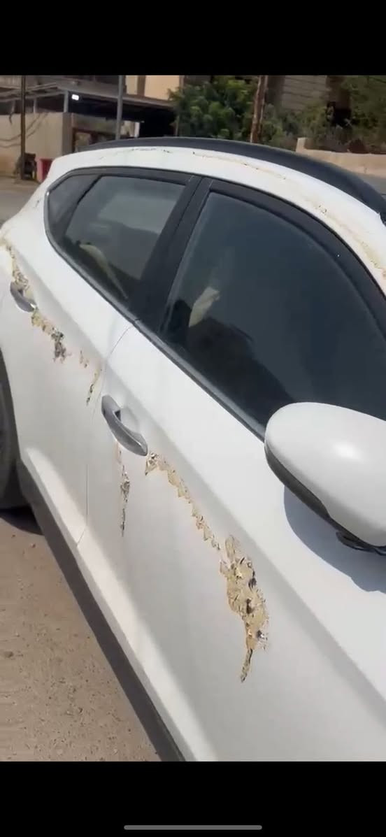 • بانوراما كهرباء
• مقاعد جلد
• الكشنات الأمامية كهرباء
• المرايا الجانبية كهرباء + شفط
• عدسات الإضاءة الأمامية (5 عدسات) وتتحرك يمين ويسار مع الستيرن
• إضاءة أمامية وخلفية LED
• بك لايت خلفي LED
• شاشة كبيرة تدعم البلوتوث وكاميرا
• كاميرا خلفية
• تحكم بالستيرن (صوت، اتصال، شاشة)
• مثبت سرعة (كروز كنترول)
• مودات قيادة (سبورت / عادي / إيكو)
• بصمة تشغيل (ستارت)
• بصمة أبواب
• سنسورات أمامية وخلفية
• نظام مانع انزلاق
• نظام تثبيت السيارة
• ABS
• Airbags
• تحكم كهرباء بالقزازات
• تكييف قوي
• جنوط ألمنيوم
• سيارة نظيفة وجاهزة للفحص

السيارة ، كاملة ومبيها اي نقص ، من مُحرك من گير والخ ، تفحص وتشوف بعينك ، تخم تاير قبل شهر مبدل الها جديد .
الضرر الي بگشر السيارة بسبب ناس متخاف الله ، ذبت بطش وانهزمت ، وخليتلكم صور السيارة من يوم الحادث ، گشر السيارة متصلح فقط خليت عليها فابلون ابيض كامل 
السيارة 2019 وارد خليجي ، ماشيه ٩٠ الف km والسيارة فول 
السيارة رايدها ب ١٥٥ ، يعني شد و٥٥ ورقة 
وبيها مجال .

0771 417 7668
