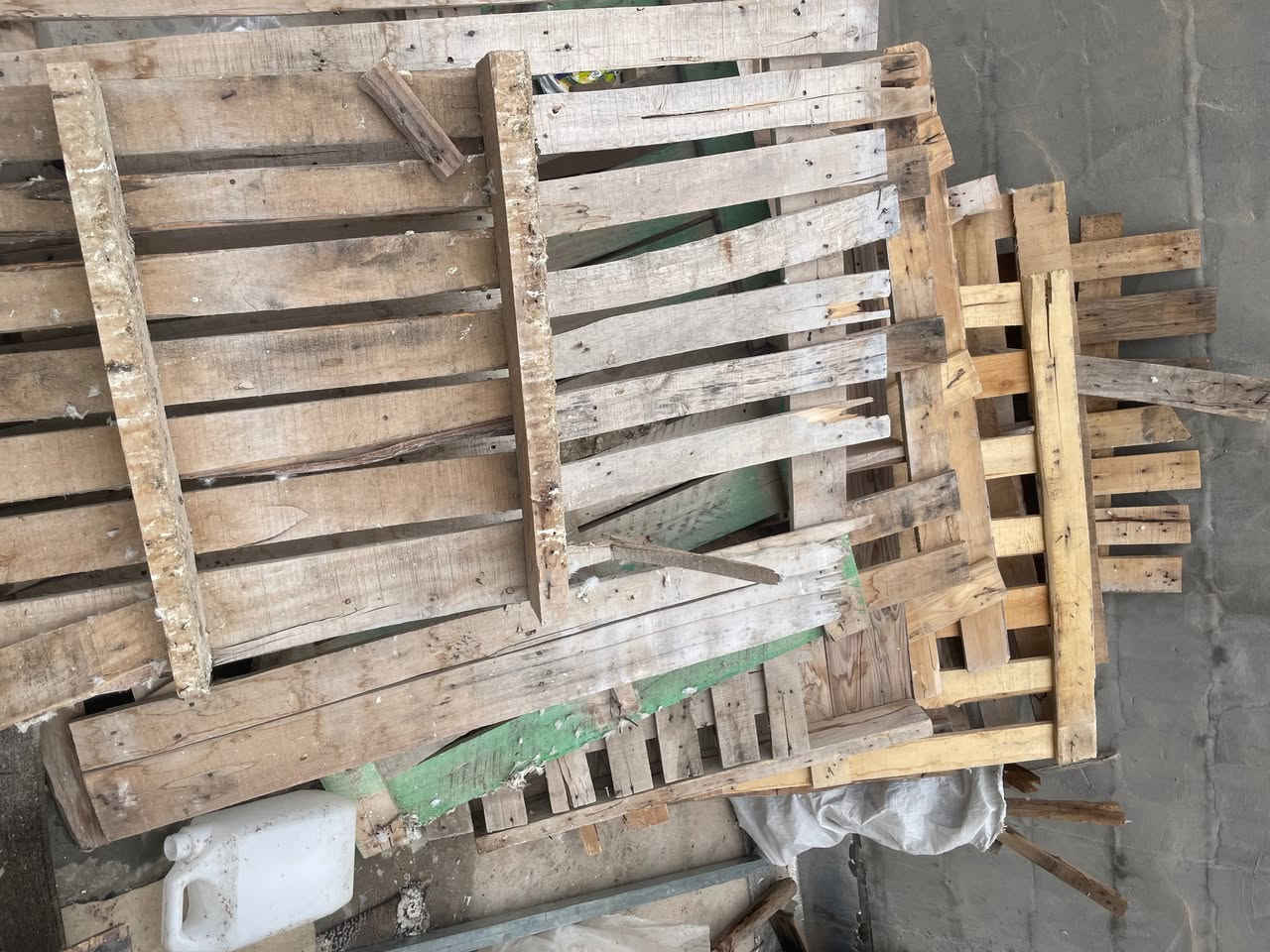 ئەم سکێبە و دارانە هەموی بۆ فرۆشتن 
دەوری ٥٠ سکێبە ئەبێت
 لەگەل ٢٠ دار
هی برایەکە هەموی دەفرۆشێت

سکێبەکان جوتی ٦ هەزار
دارەکان جوتی ٦ هەزار

هەموشی پێکەوە سعرێکیترە 
شوێن کەلار
ئەمە ژمارە موبایلیتی 
***********
