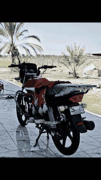 اسلام عليكم دراجه لبيع هيرو موديل 23 اوراق اصولي دراجه كفاله عامه من كلشي دراجه عليه العتمات لياخذه مايخسر عليه ربع كامله مكمله دراجه مضموه ماطلع بيه استخدامي بيه بسيط السعر 2200 وبيه مجال المكان بابل الحمزه الغربي وهاذه الرقم *********** ويدلل علينه الشراي
