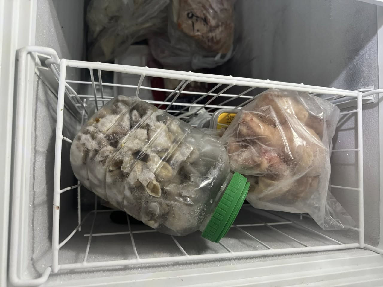 للبيع السعر ١٦٠ الف اخت الجديدة استخدام قليل


**إذا كنت صاحب هذا الإعلان وتريد حذفه لأي سبب، رجاءا أرسل رسالة إلى الدعم الفني**