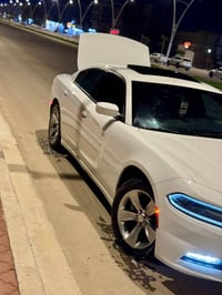 تشارجر SXT • ٢٠١٨ • رقم أربيل
