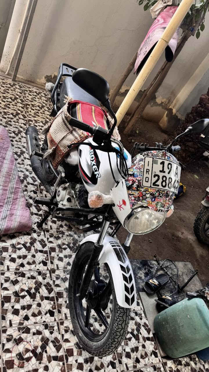 بوكسر كلاسك 23اصل ام السكن 
مراوس بجبلي او بيع بيها خيط تبخير سعرها 2200
مكاني بعقوبه


**إذا كنت صاحب هذا الإعلان وتريد حذفه لأي سبب، رجاءا أرسل رسالة إلى الدعم الفني**