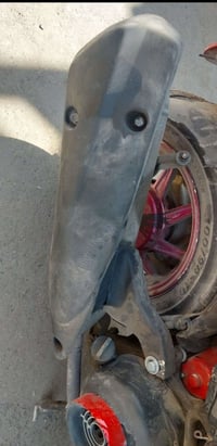 كزوز بلادي • معوّج ملحوم • بصره