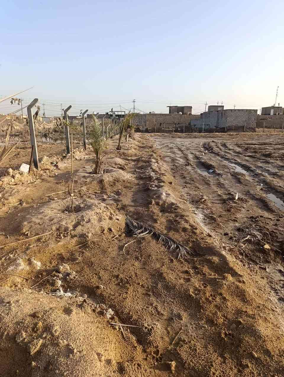 ارض طابو زراعي سند 25 مساحتها 2700 متر وبيها خريطه كامله رباط كونكريت ومدفونه مساحه 300 متر في الكوفه البراكيه قرب معمل سمنت الكوفه موجود ماي كهرباء وناس ساكنه


**إذا كنت صاحب هذا الإعلان وتريد حذفه لأي سبب، رجاءا أرسل رسالة إلى الدعم الفني**