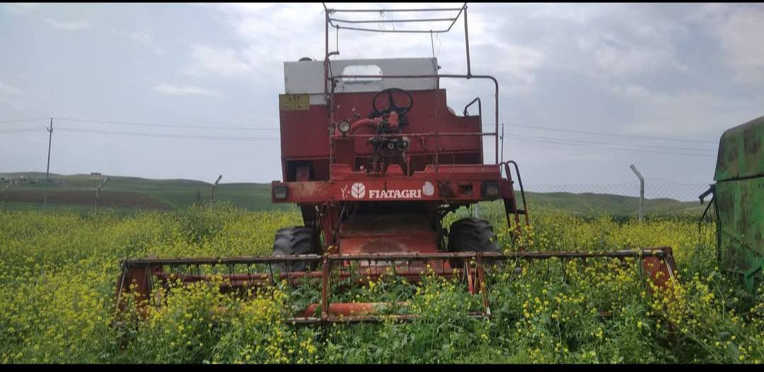 للبيع لافردا 85سعر 5ملاين
***********
