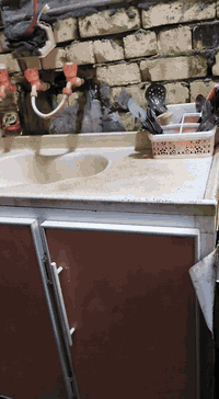 السلام عليكم كاونتر مطبخ للبيع سعر ٤٥٠ وبي مجال ***********  الفضلية
