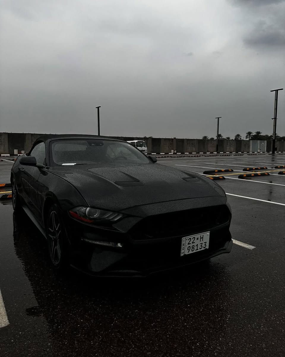 السلام عليكم
موستنك ايكو بوست بريميوم ٢٠٢٢

كشف

٩٣،٠٠٠ كيلو ماشيه
دشبول سبع الوان
كشنات تدفئه تبريد
شاشه كبير
شغال
بصمه  تشغيل عن بعد
رادار امامي و جانبي
حساسات و كامره خلفي

ضرر: موضح بالسونار وانضاف عليه بارد بالباب والجاملغ الخلفي جهه السايق

ايرباك فقط ستيرن و راجع سستم

اكسل كهربائيات مكينه كير كله بشرط

مكان السياره البياع

سعر :١٤٥ بيها مجال


**إذا كنت صاحب هذا الإعلان وتريد حذفه لأي سبب، رجاءا أرسل رسالة إلى الدعم الفني**