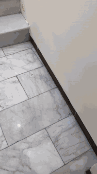 تم الانتهاء من صبغ منزل بمنطقة حي الغزالية 
*********** 
مكتب الابداع للصباغة
ليش تختار الابداع للصباغة تنظيف المكان بعد الانتهاء من الصباغة 👍🏻اسعار مناسبة 👏جودة عالية في اعمال الصباغة 👏الانتهاء من اعمال الصباغة في الوقت المحدد 🤝
