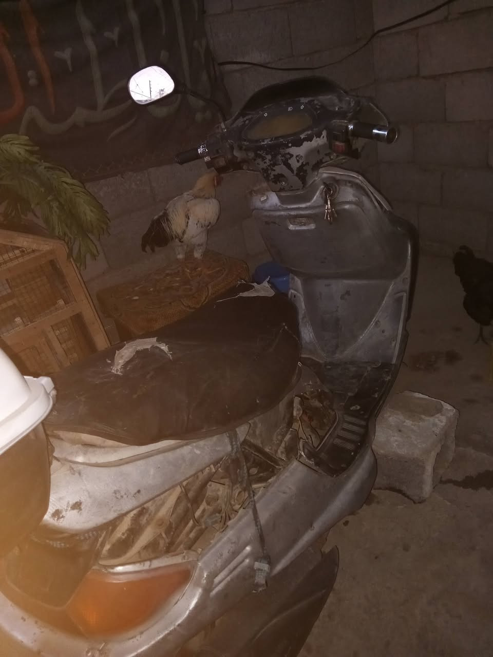لبيع ١٥٠ بغداد دراجه شغاله ابيعك كوم حديد


**إذا كنت صاحب هذا الإعلان وتريد حذفه لأي سبب، رجاءا أرسل رسالة إلى الدعم الفني**