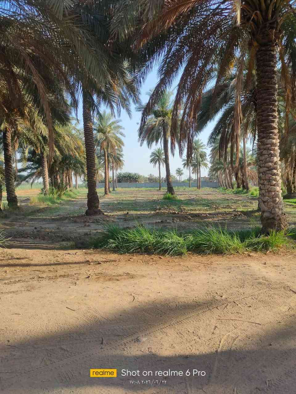 دونم ونص طابو ملك صرف مداور تقع في كربلاء  قضاء الخيرات على نهر الفرات مباشرتآ تبليط وكهرباء طوارئ تصلح سكن وتصلح منتجع للاستفسار ***********
