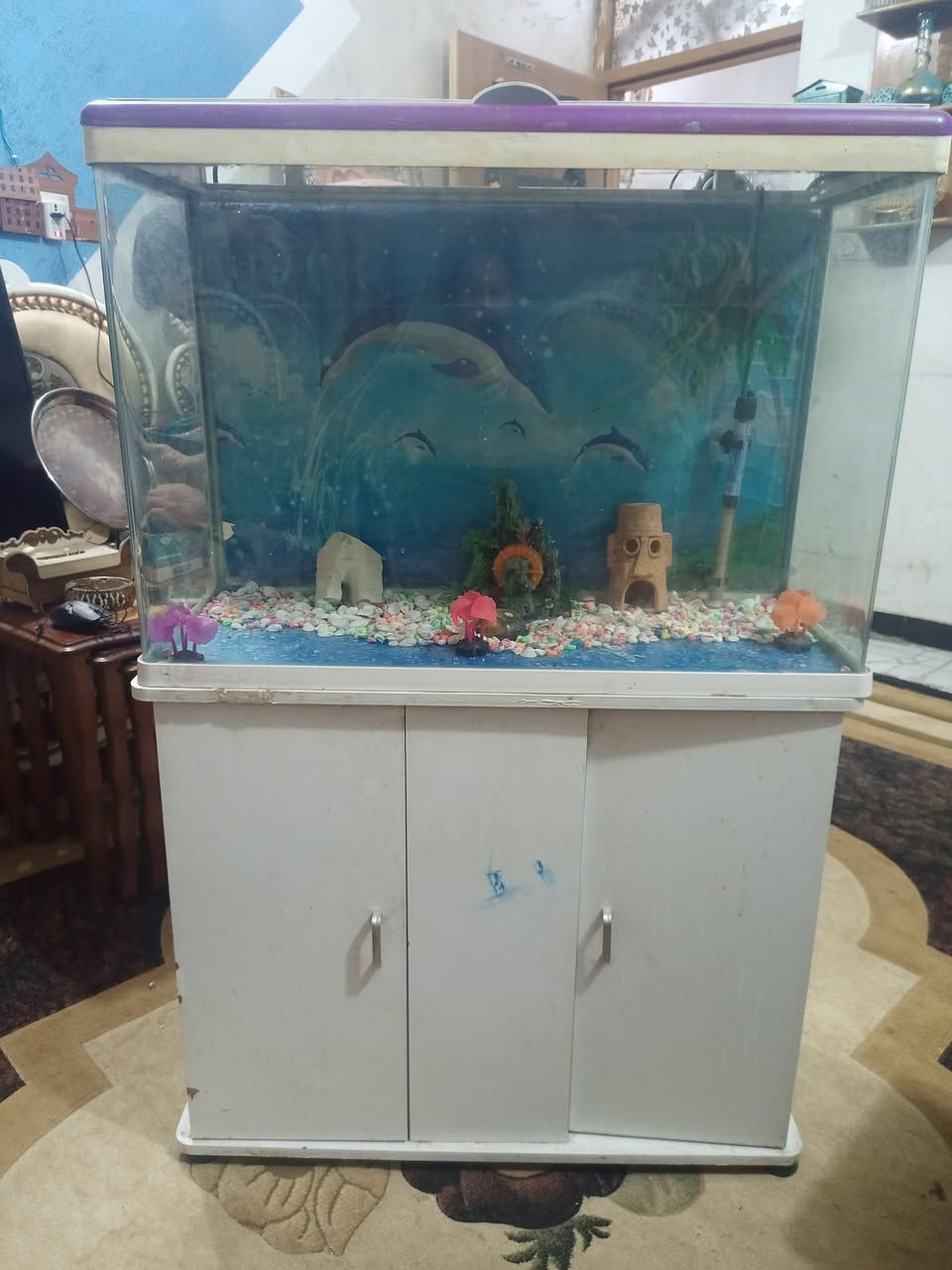 السلام عليكم عيني عندي غراض للبيع مجمده سعره  110ميز ابلازمه سعر 10حوض سمك سعر 90 رقم هاتفي ***********
