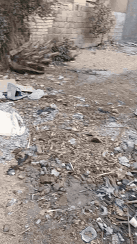 اسلام عليكم قطعه طابو صرف بابل المسيب حي العسكري بل ١٨ يم المنتزه الشارع مقابيل جامع المتقين المساحه ٢٤٠ الوجه ١٢  نزال ٢٠ القطعه بيه اجازه بناء الموقع حلو
***********   السعر  ٦٤
***********
