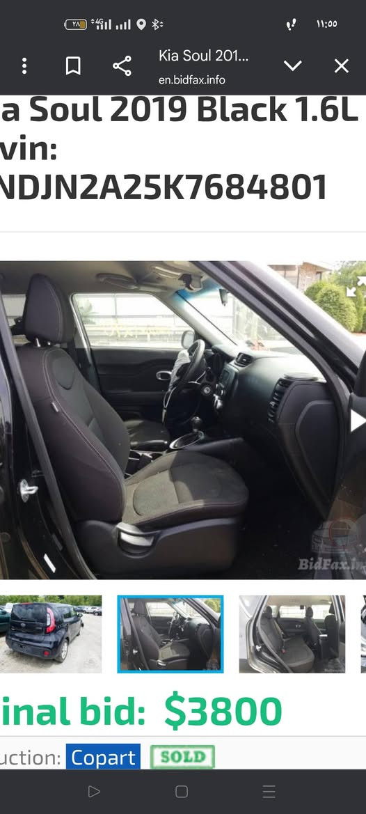 صول 2019 بنيد بلادي وباب سكن صبغ ***********
